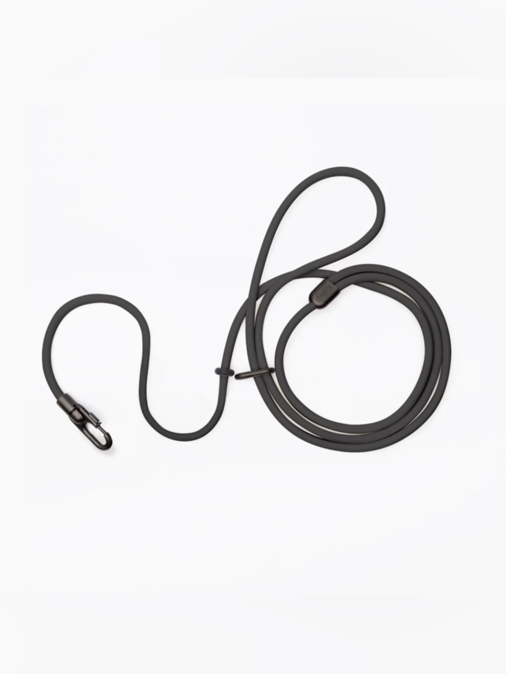 Fable Magic Leash